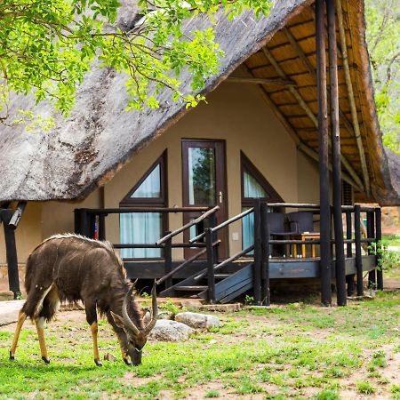 Aha Bongani Mountain Lodge Luphisi المظهر الخارجي الصورة