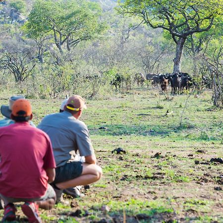 Aha Bongani Mountain Lodge Luphisi المظهر الخارجي الصورة