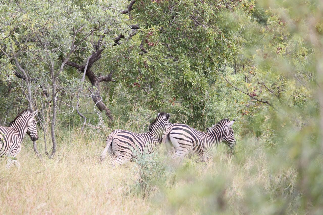 Aha Bongani Mountain Lodge Luphisi المظهر الخارجي الصورة