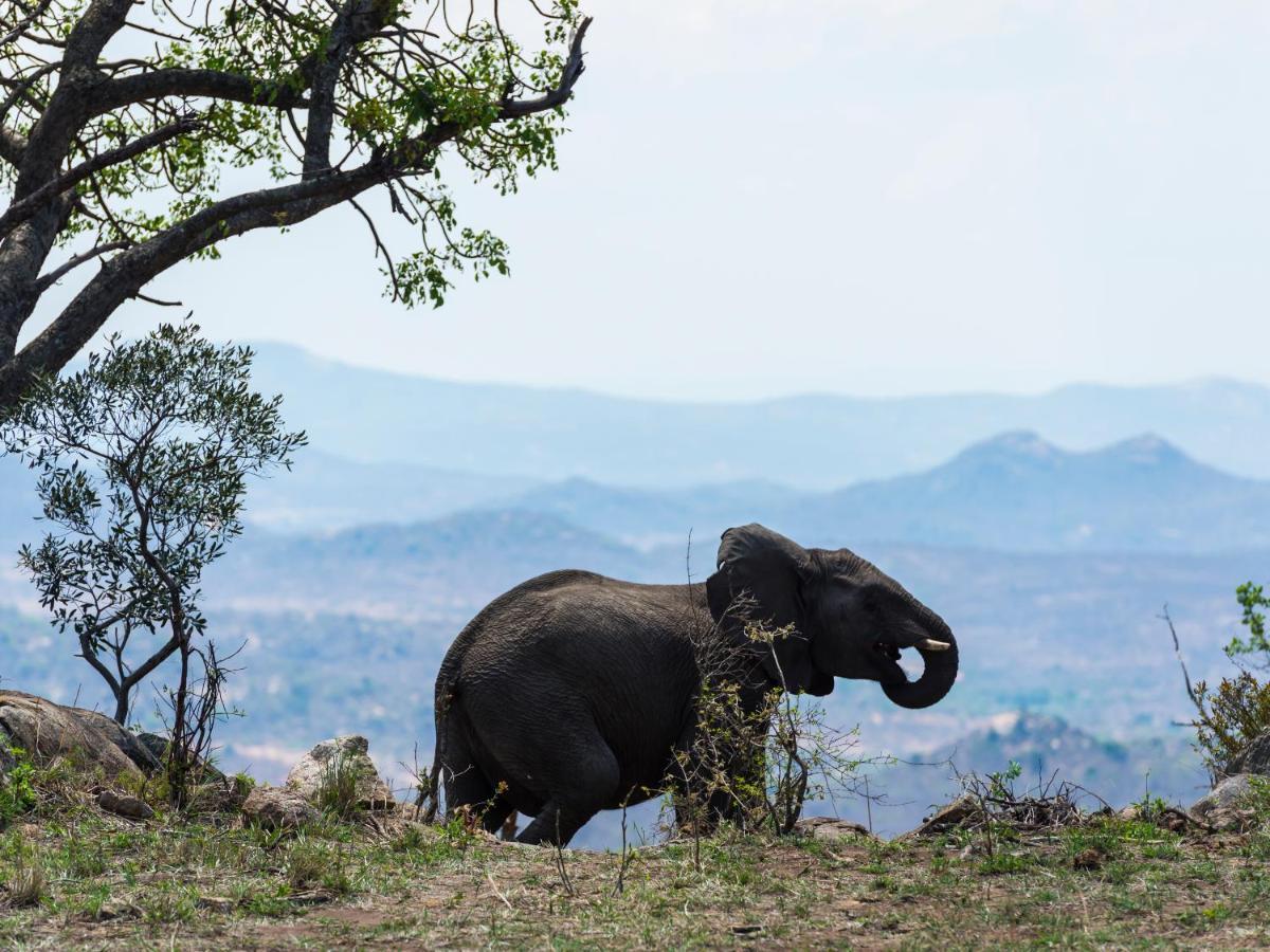 Aha Bongani Mountain Lodge Luphisi المظهر الخارجي الصورة