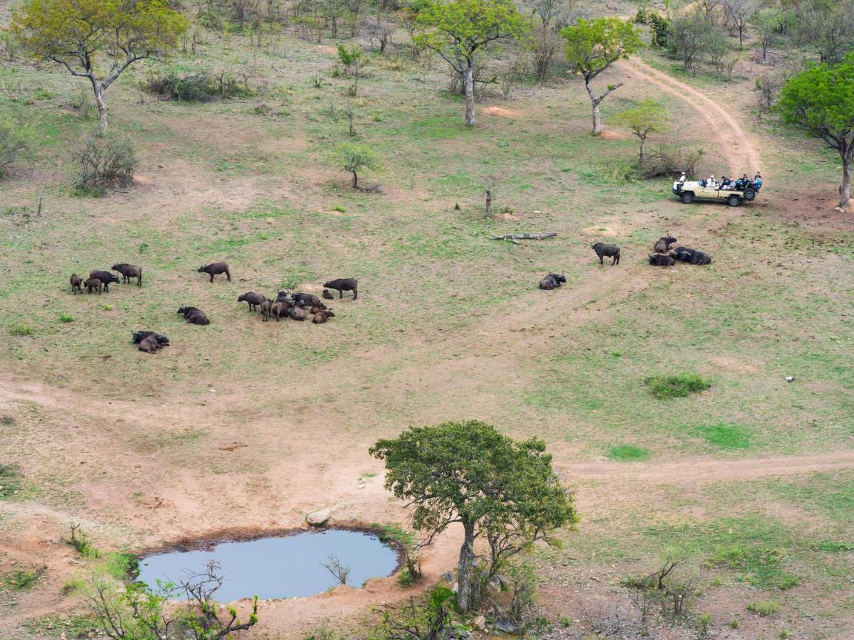 Aha Bongani Mountain Lodge Luphisi المظهر الخارجي الصورة