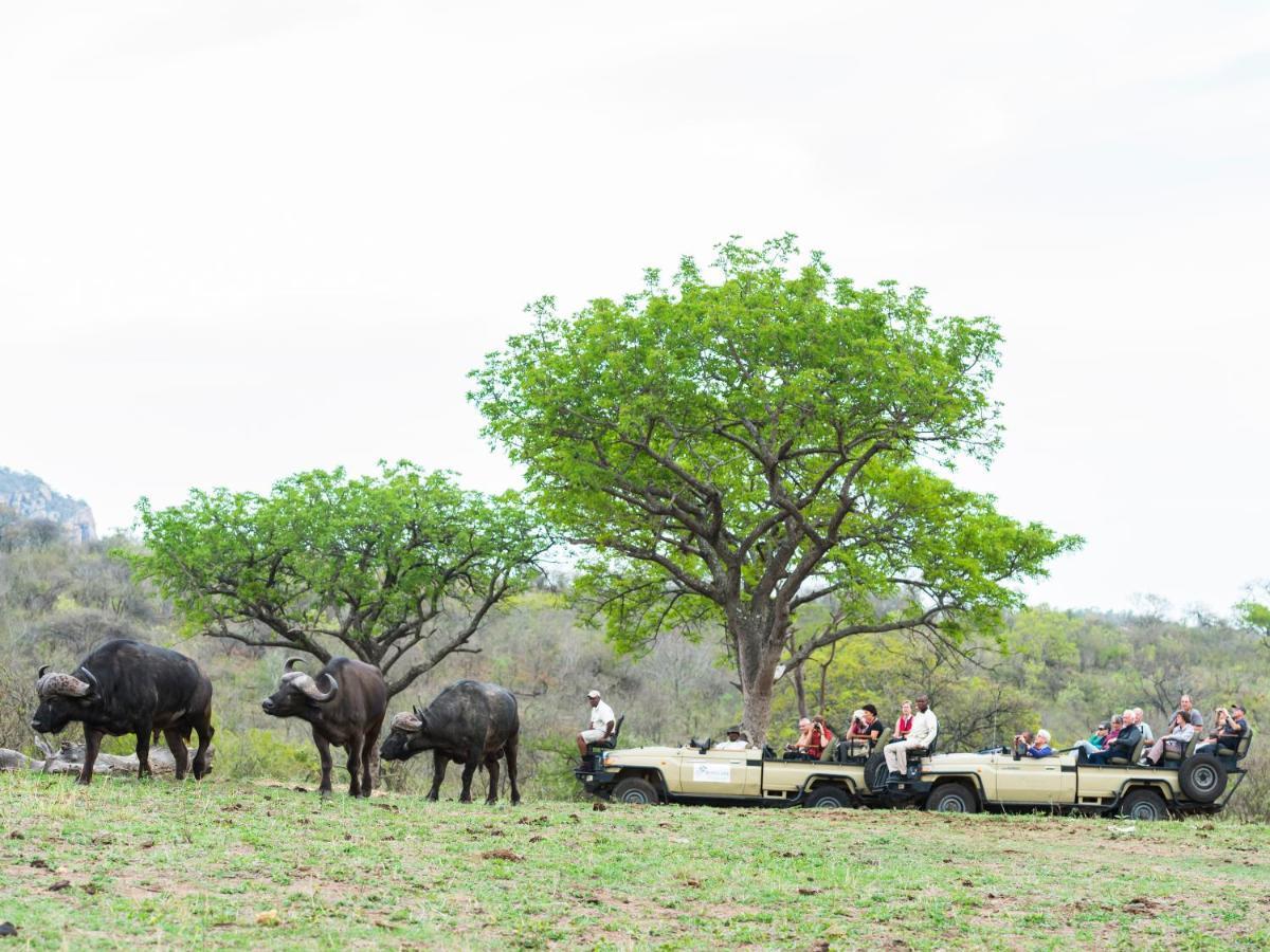 Aha Bongani Mountain Lodge Luphisi المظهر الخارجي الصورة