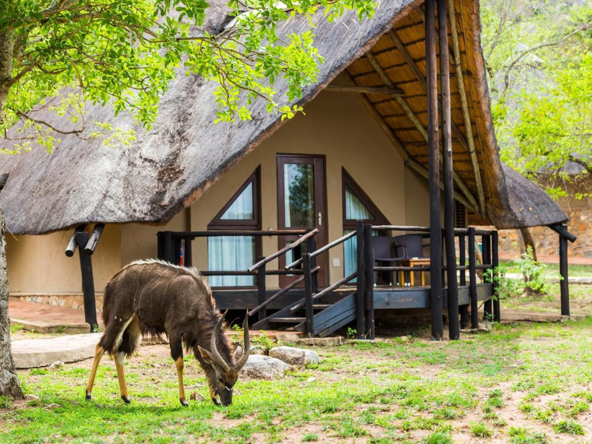 Aha Bongani Mountain Lodge Luphisi المظهر الخارجي الصورة
