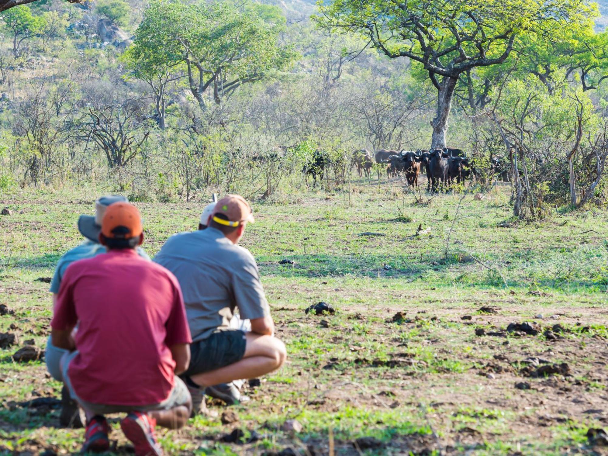 Aha Bongani Mountain Lodge Luphisi المظهر الخارجي الصورة